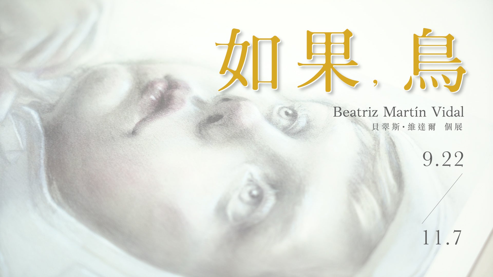 貝翠斯 Beatriz | 如果，鳥 - 貝翠斯·維達爾個展 | 展覽前導影片 | 繪本介紹 | Bird - Beatriz Martin Vidal