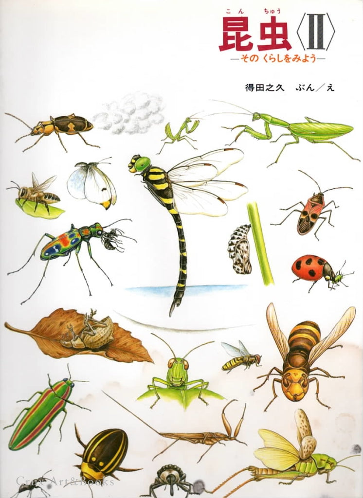 昆蟲(二)— 讓我們看看它們的生活昆虫〈II〉―そのくらしをみよう