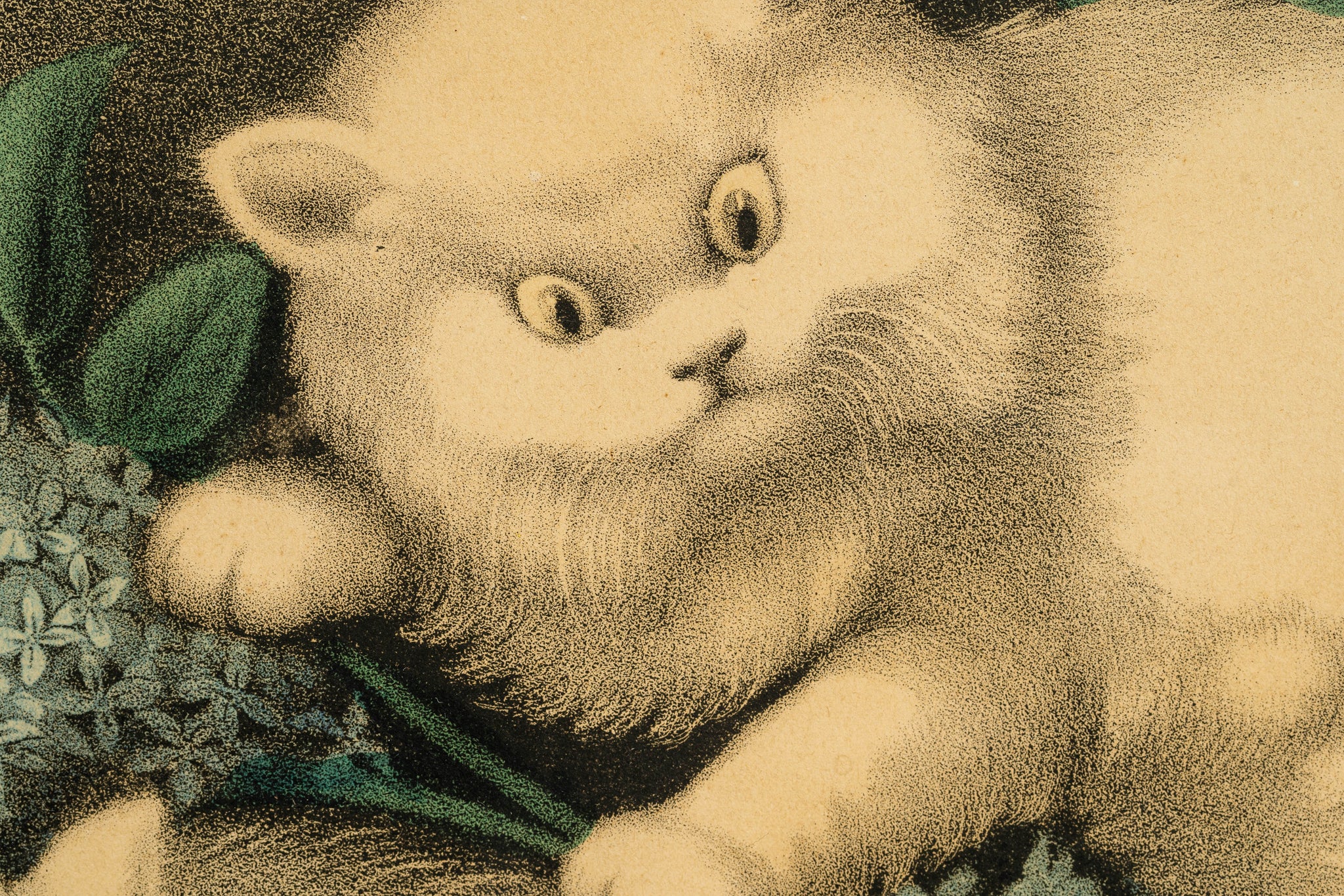 兩隻害怕的小貓，Currier & Ives，1863