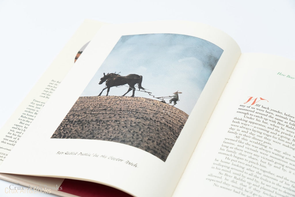 Jump On Over! The Adventures Of Brer Rabbit And His Family